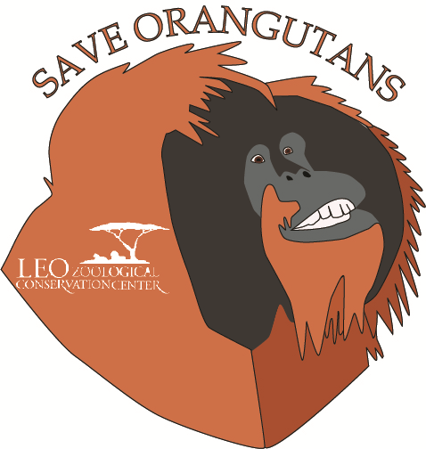 Orangutan Poster