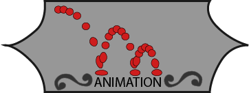 Animation